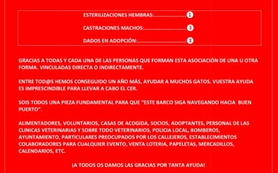 Actividad CER Diciembre 2024