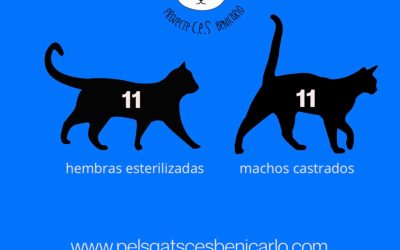 Actividad CER Enero 2025