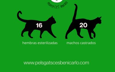 Actividad CER Febrero 2025