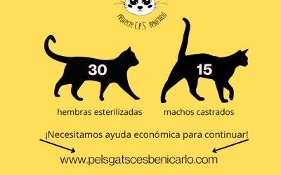Actividad CER Marzo 2025