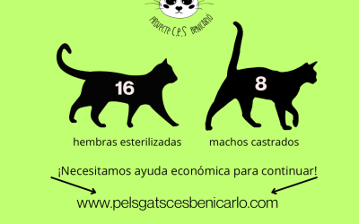 Actividad CER Abril 2025