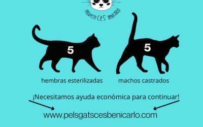 Actividad CER Junio 2025