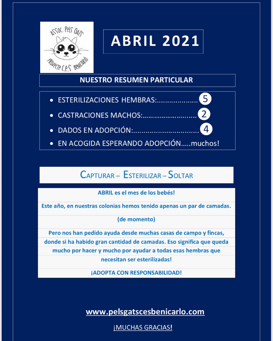 Actividad CES Abril 2021