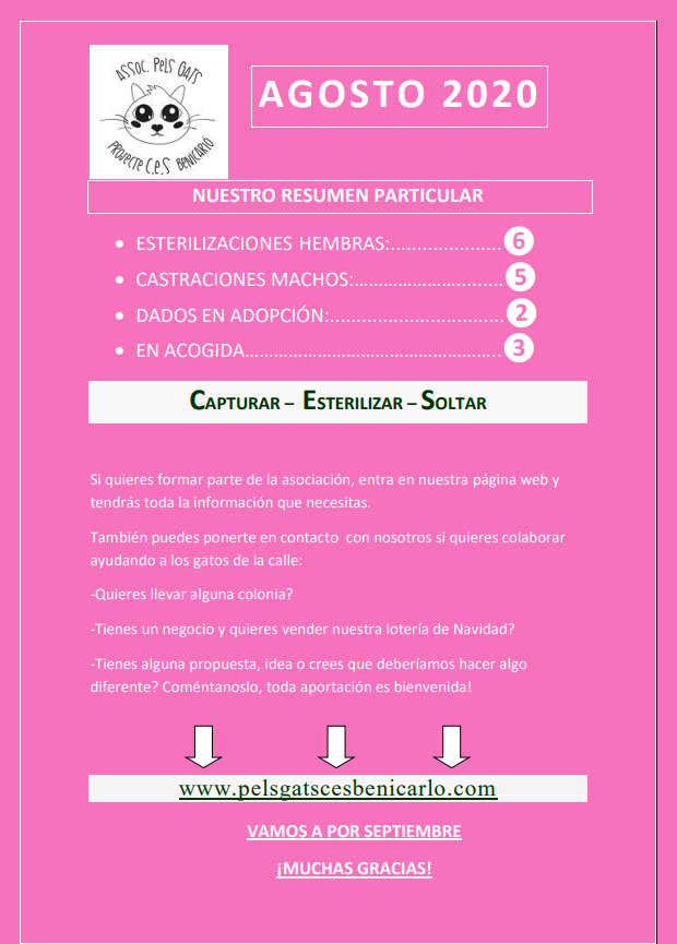Actividad CES Agosto 2020