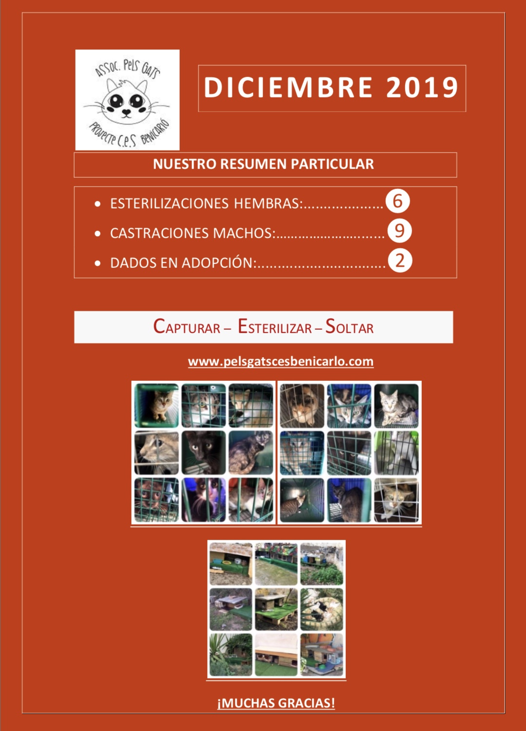 Actividad CES Diciembre 2019