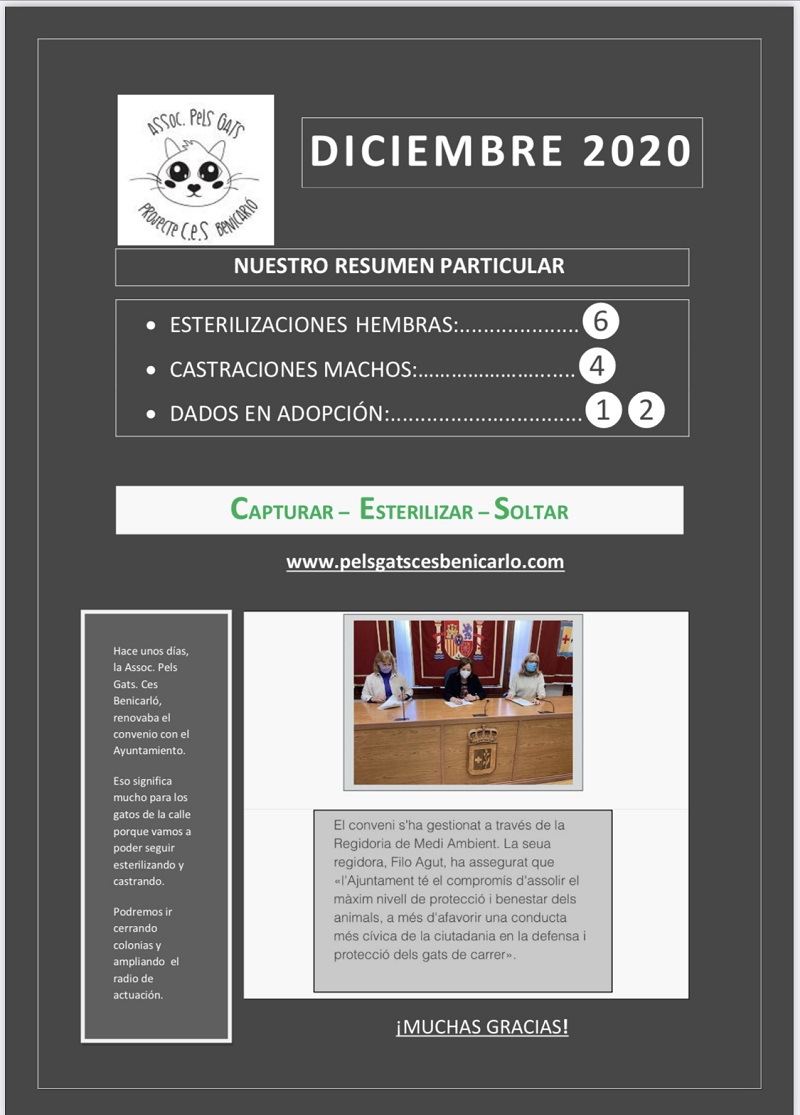 Actividad CES Diciembre 2020