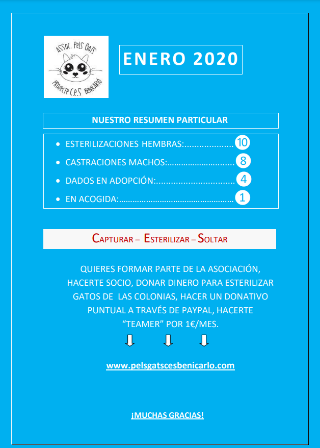 Actividad CES Enero 2020