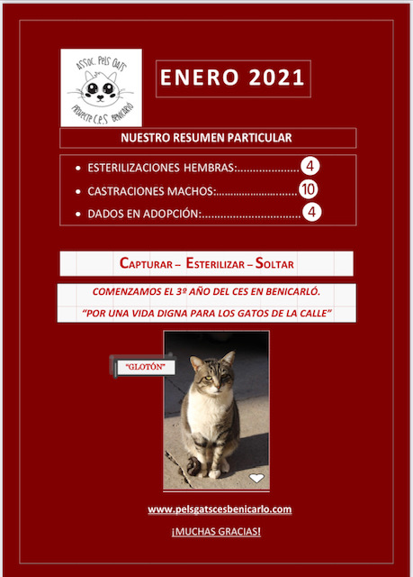 Actividad CES Enero 2021