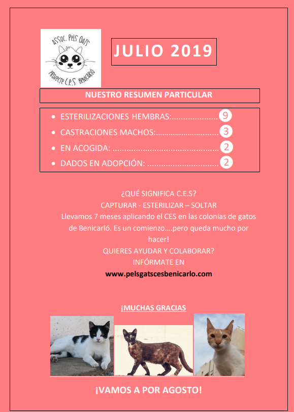 Actividad CES Julio 2019