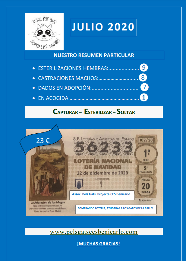 Actividad CES Julio 2020