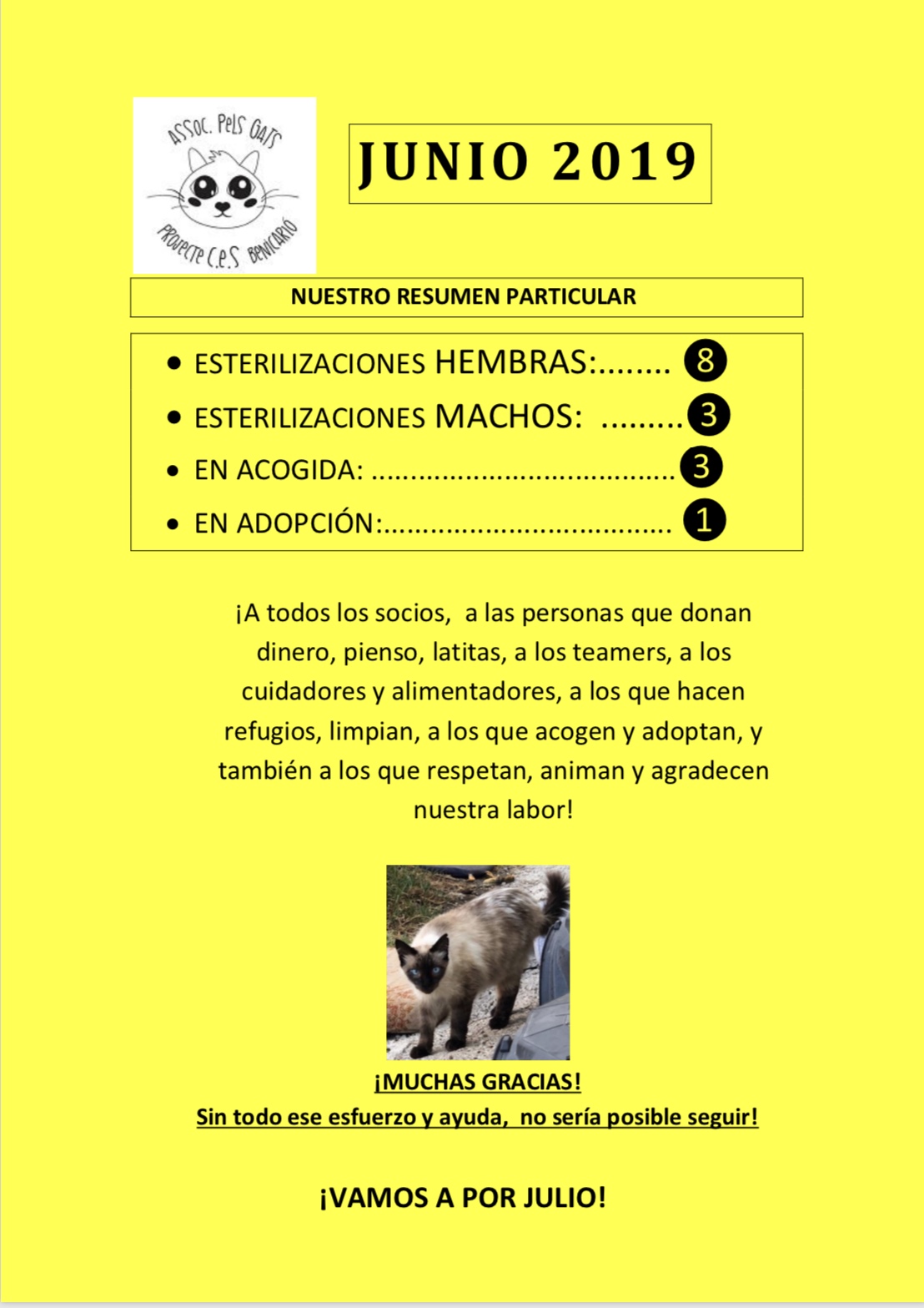 Actividad CES Junio 2019