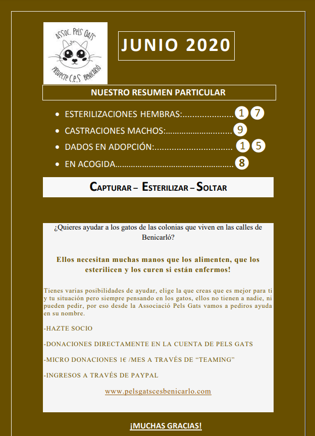 Actividad CES Junio 2020