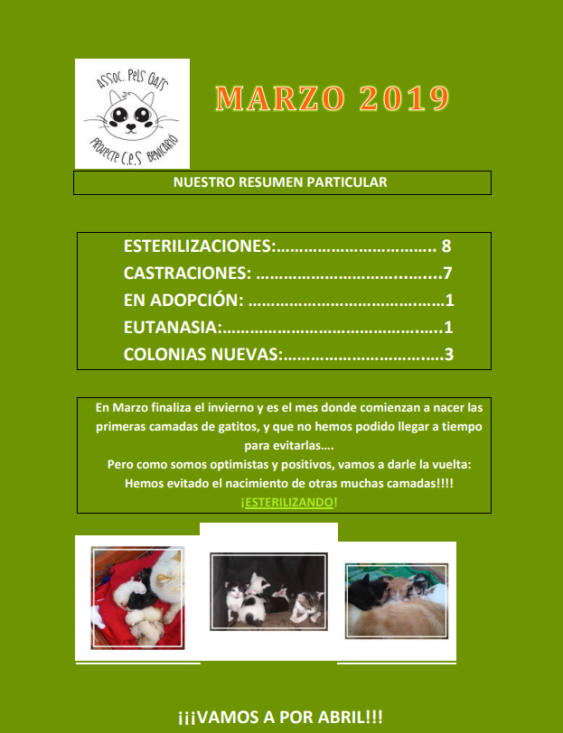 Actividad CES Marzo 2019