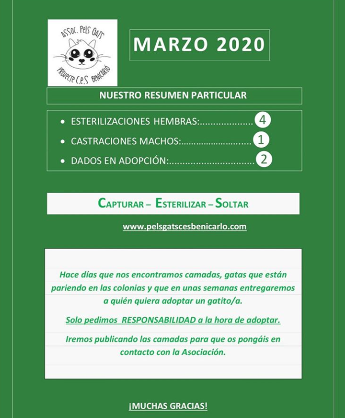 Actividad CES Marzo 2020