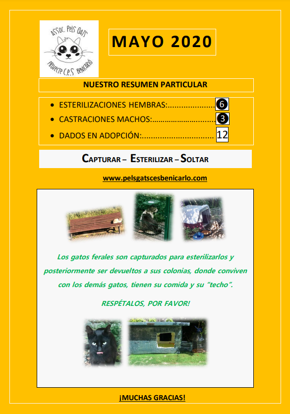 Actividad CES Mayo 2020