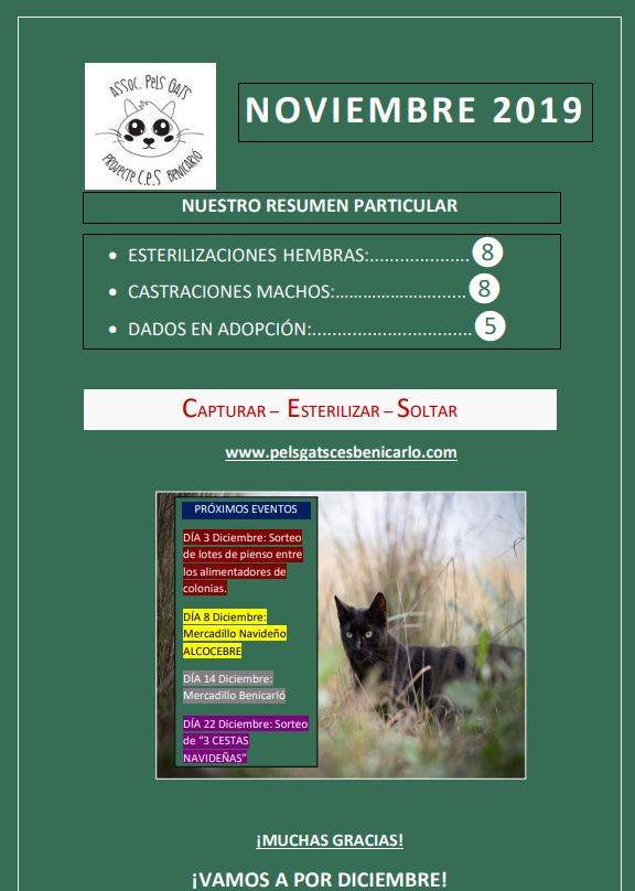 Actividad CES Noviembre 2019