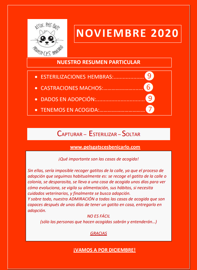 Actividad CES Noviembre 2020