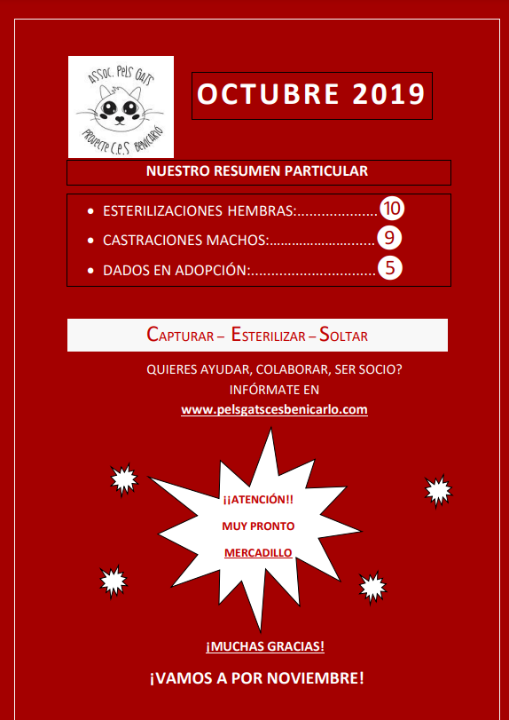 Actividad CES Octubre 2019