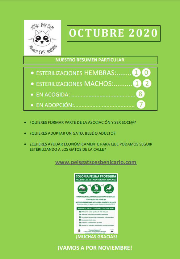 Actividad CES Octubre 2020