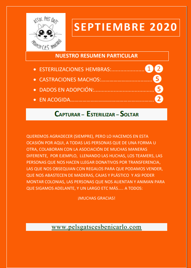Actividad CES Septiembre 2020