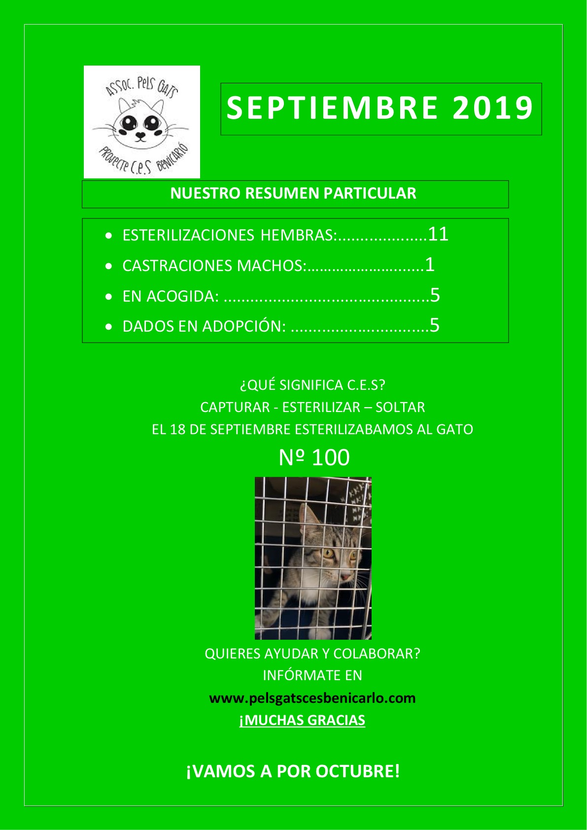 Actividad CES Septiembre 2019